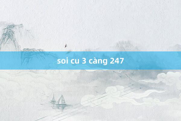 soi cu 3 càng 247