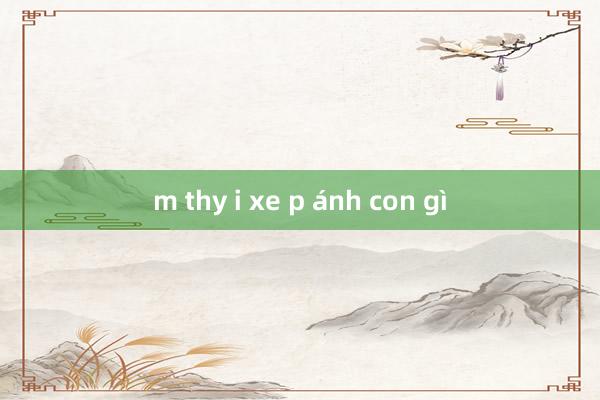 m thy i xe p ánh con gì