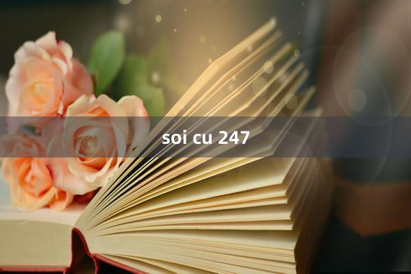 soi cu 247