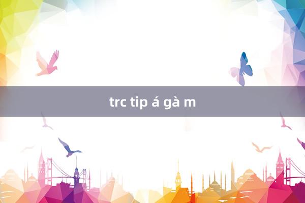 trc tip á gà m