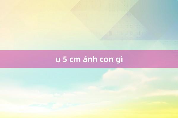 u 5 cm ánh con gì