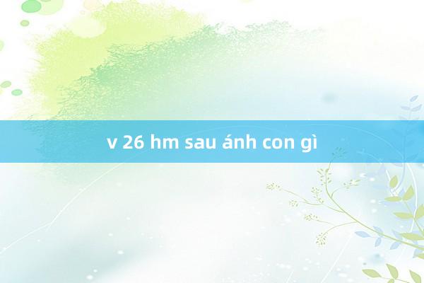 v 26 hm sau ánh con gì