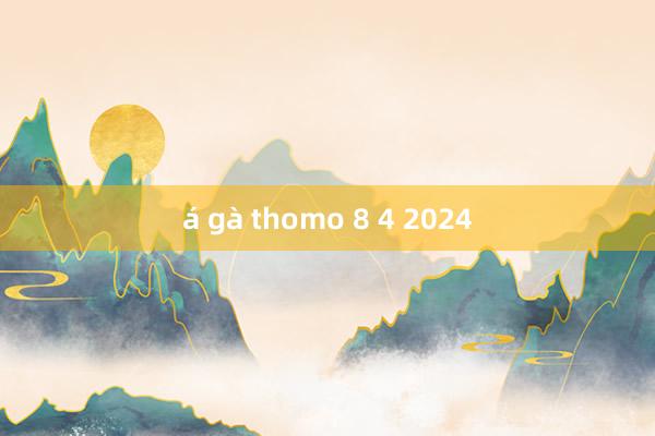 á gà thomo 8 4 2024