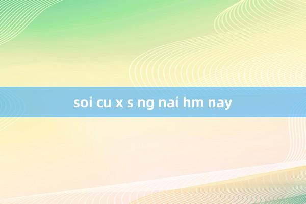 soi cu x s ng nai hm nay