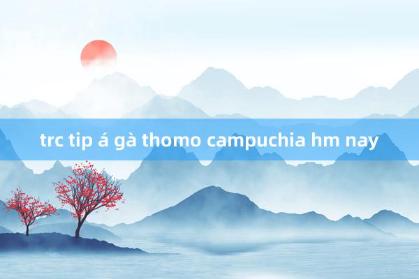 trc tip á gà thomo campuchia hm nay