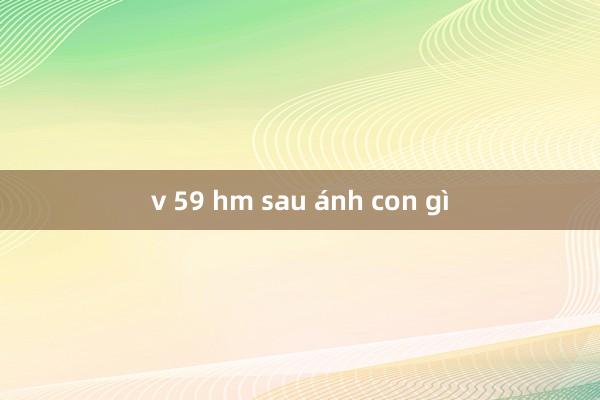 v 59 hm sau ánh con gì