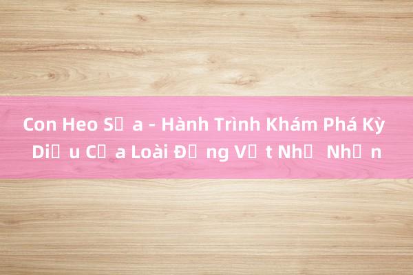 Con Heo Sữa - Hành Trình Khám Phá Kỳ Diệu Của Loài Động Vật Nhỏ Nhắn