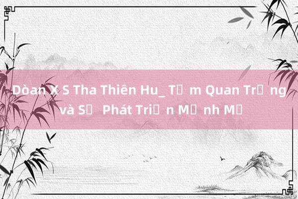 Dòan X S Tha Thiên Hu_ Tầm Quan Trọng và Sự Phát Triển Mạnh Mẽ