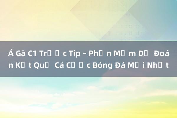 Á Gà C1 Trước Tip – Phần Mềm Dự Đoán Kết Quả Cá Cược Bóng Đá Mới Nhất