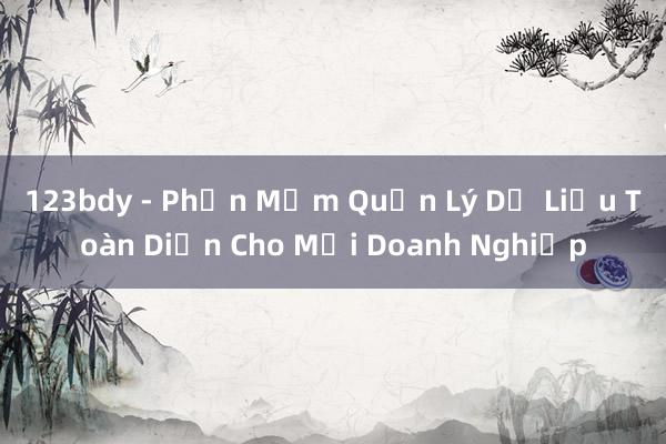 123bdy - Phần Mềm Quản Lý Dữ Liệu Toàn Diện Cho Mọi Doanh Nghiệp