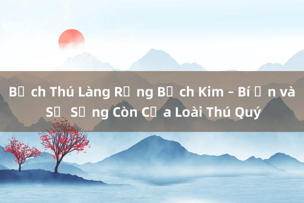 Bạch Thú Làng Rừng Bạch Kim – Bí Ẩn và Sự Sống Còn Của Loài Thú Quý