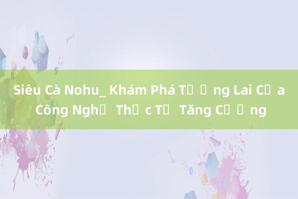 Siêu Cà Nohu_ Khám Phá Tương Lai Của Công Nghệ Thực Tế Tăng Cường