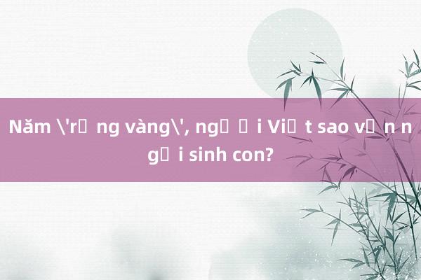 Năm 'rồng vàng'， người Việt sao vẫn ngại sinh con?