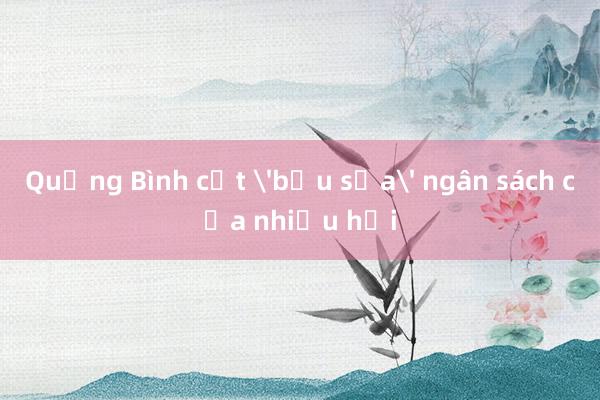 Quảng Bình cắt 'bầu sữa' ngân sách của nhiều hội