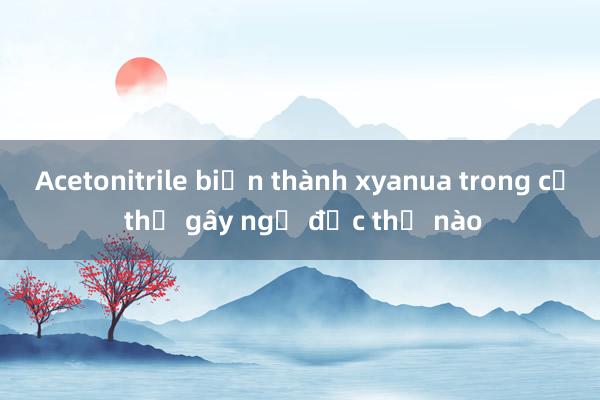 Acetonitrile biến thành xyanua trong cơ thể gây ngộ độc thế nào