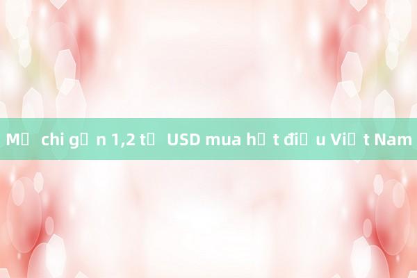 Mỹ chi gần 1，2 tỷ USD mua hạt điều Việt Nam